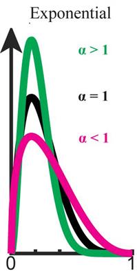 A Biased Bayesian Inference for Decision-Making and Cognitive Control